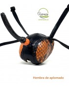 Super offers in falconry | Discounts on hoods | Cetrería Web