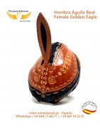 Golden Eagle Hoods | Cetrería Web